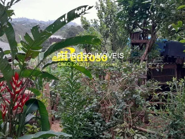 Imagem 4: Casa Residencial em Santo Angelo - Rs, Pippi