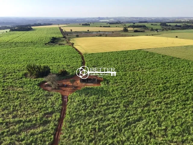 Imagem: Fazendola 24,55 Alqueires - Formação Cana
