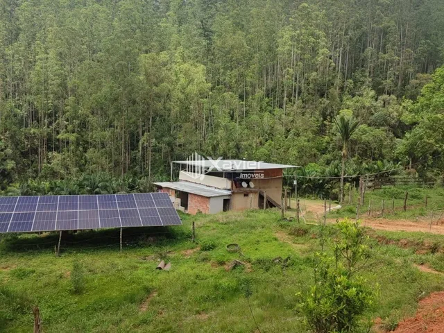 Imagem: Sítio À Venda com 3,5 Alqueires em Alfredo
