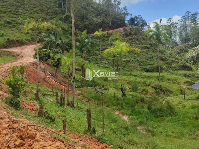 Imagem 7: Sítio À Venda com 3,5 Alqueires em Alfredo Chaves/Es, com 4 Casas, Nascentes, Pasto, Energia Solar e Bananal Produtivo