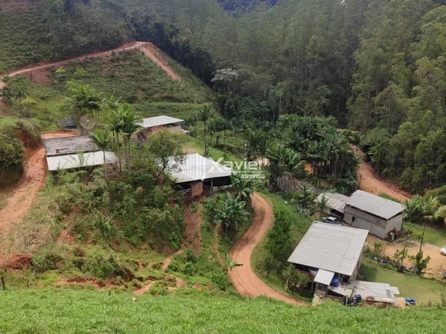 Imagem 4: Sítio À Venda com 3,5 Alqueires em Alfredo Chaves/Es, com 4 Casas, Nascentes, Pasto, Energia Solar e Bananal Produtivo