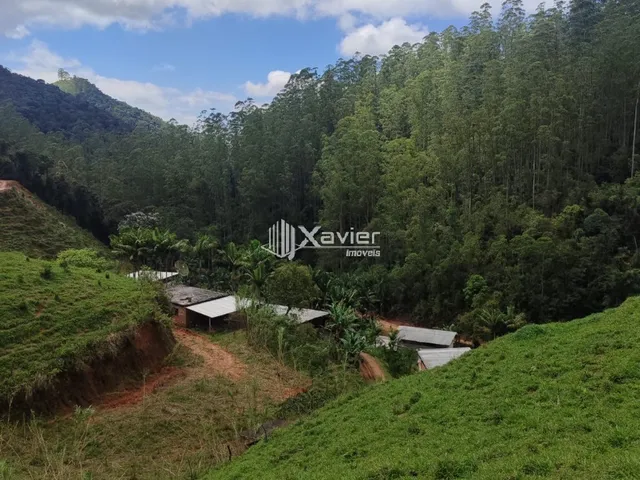 Imagem 13: Sítio À Venda com 3,5 Alqueires em Alfredo Chaves/Es, com 4 Casas, Nascentes, Pasto, Energia Solar e Bananal Produtivo