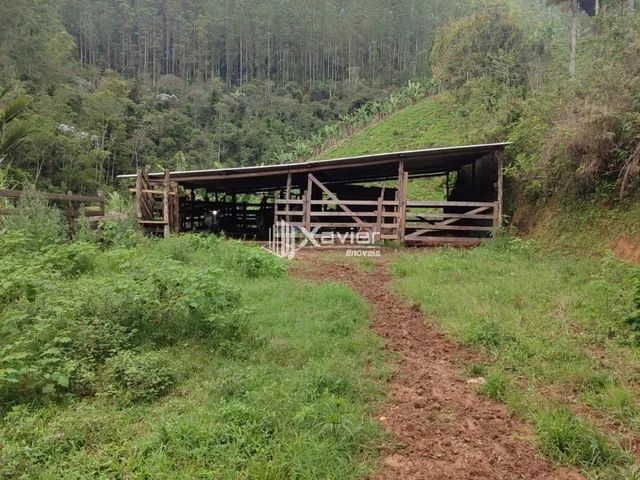 Imagem 11: Sítio À Venda com 3,5 Alqueires em Alfredo Chaves/Es, com 4 Casas, Nascentes, Pasto, Energia Solar e Bananal Produtivo