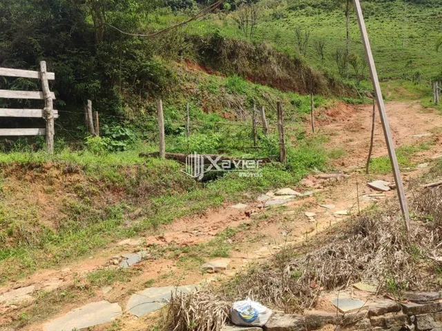 Imagem 6: Sítio À Venda com 3,5 Alqueires em Alfredo Chaves/Es, com 4 Casas, Nascentes, Pasto, Energia Solar e Bananal Produtivo