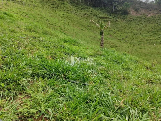 Imagem 2: Sítio À Venda com 3,5 Alqueires em Alfredo Chaves/Es, com 4 Casas, Nascentes, Pasto, Energia Solar e Bananal Produtivo