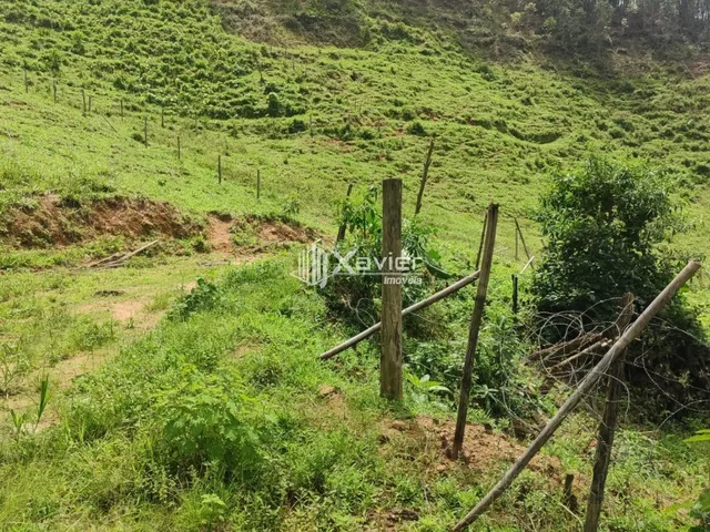 Imagem 12: Sítio À Venda com 3,5 Alqueires em Alfredo Chaves/Es, com 4 Casas, Nascentes, Pasto, Energia Solar e Bananal Produtivo