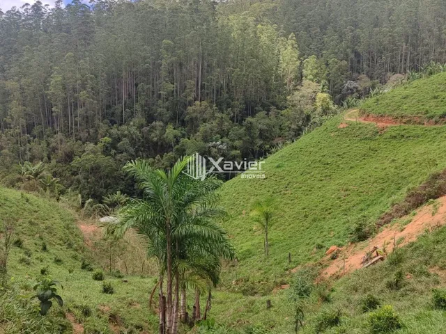 Imagem 8: Sítio À Venda com 3,5 Alqueires em Alfredo Chaves/Es, com 4 Casas, Nascentes, Pasto, Energia Solar e Bananal Produtivo