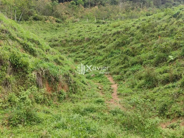 Imagem 5: Sítio À Venda com 3,5 Alqueires em Alfredo Chaves/Es, com 4 Casas, Nascentes, Pasto, Energia Solar e Bananal Produtivo