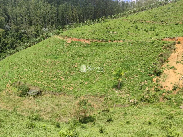 Imagem 15: Sítio À Venda com 3,5 Alqueires em Alfredo Chaves/Es, com 4 Casas, Nascentes, Pasto, Energia Solar e Bananal Produtivo