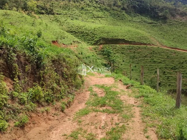 Imagem 14: Sítio À Venda com 3,5 Alqueires em Alfredo Chaves/Es, com 4 Casas, Nascentes, Pasto, Energia Solar e Bananal Produtivo