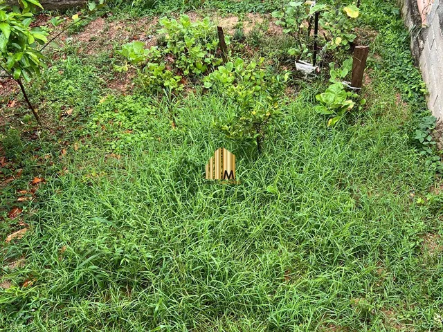 Imagem 14: 0 Casa com 3 dormitórios