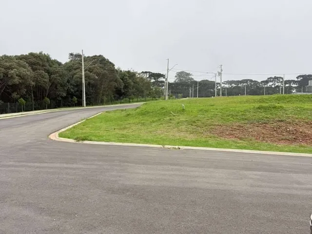 Imagem: Terrenos em Piraquara