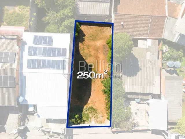 Imagem 4: Terreno de 250 M² À Venda no Fidélis em Blumenau por R$ 170 Mil
