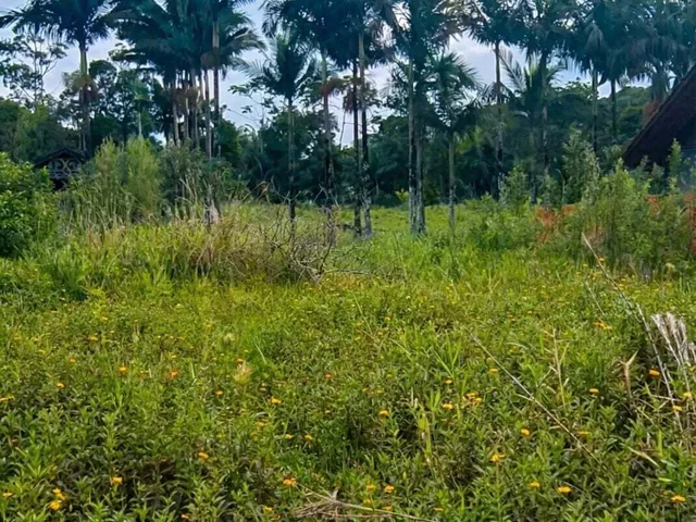 Imagem 3: Terreno Lote em Dolorata, Rio dos Cedros/Sc