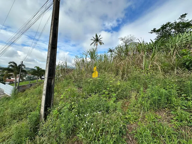 Imagem 6: Terreno À Venda no Bairro das Capitais - Timbó/Sc