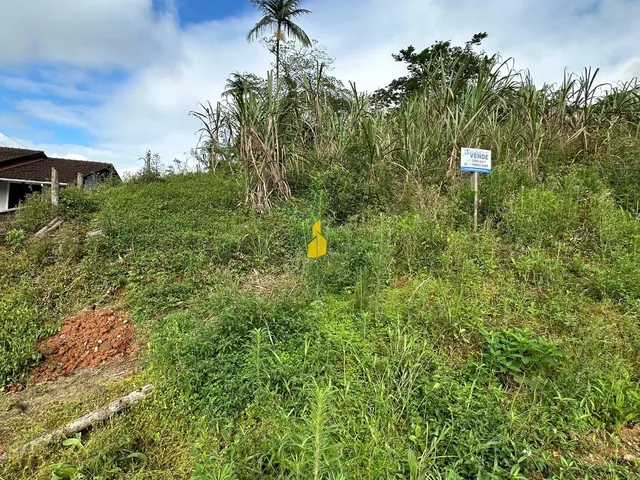 Imagem 7: Terreno À Venda no Bairro das Capitais - Timbó/Sc