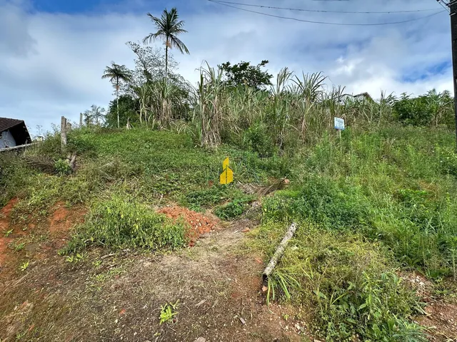 Imagem 2: Terreno À Venda no Bairro das Capitais - Timbó/Sc