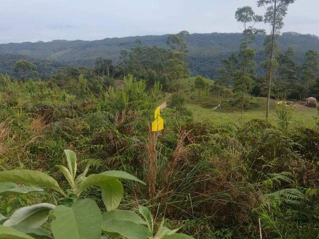 Imagem: Terreno para Sítio