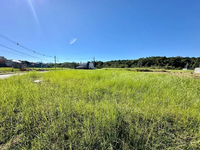 Imagem 2: Terreno Lote em Padre Martinho Stein, Timbó/Sc