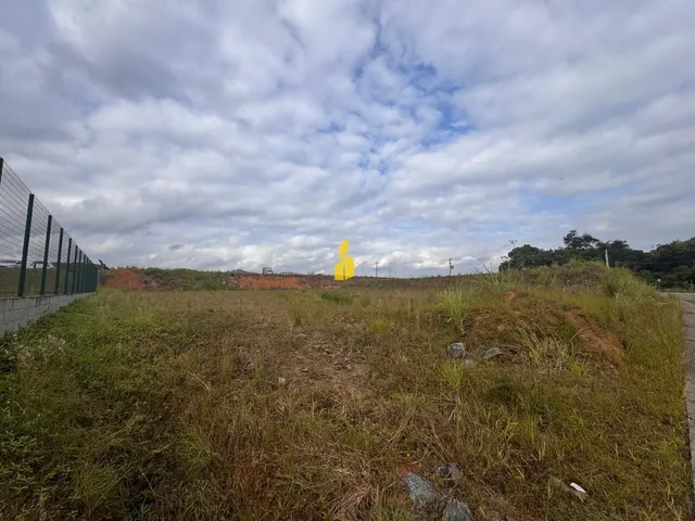 Imagem 5: Terreno Industrial