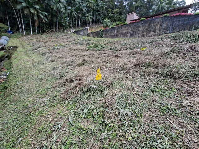 Imagem 2: Terreno À Venda no Bairro Centro - Benedito Novo/Sc