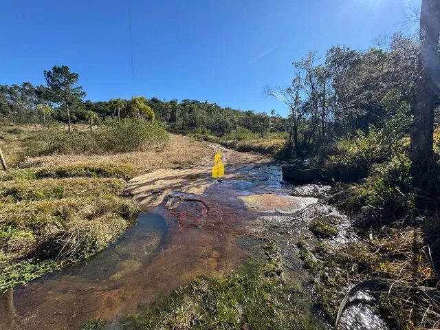 Imagem 4: Terreno À Venda no Bairro Cedro Alto - Rio dos Cedros/Sc