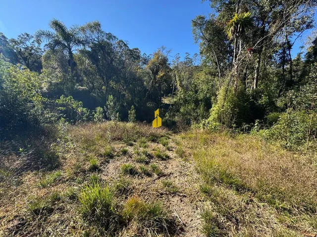 Imagem 9: Terreno À Venda no Bairro Cedro Alto - Rio dos Cedros/Sc