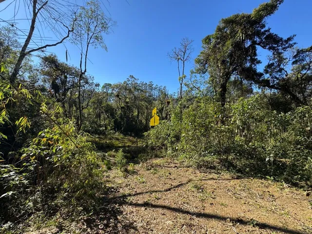 Imagem 11: Terreno À Venda no Bairro Cedro Alto - Rio dos Cedros/Sc