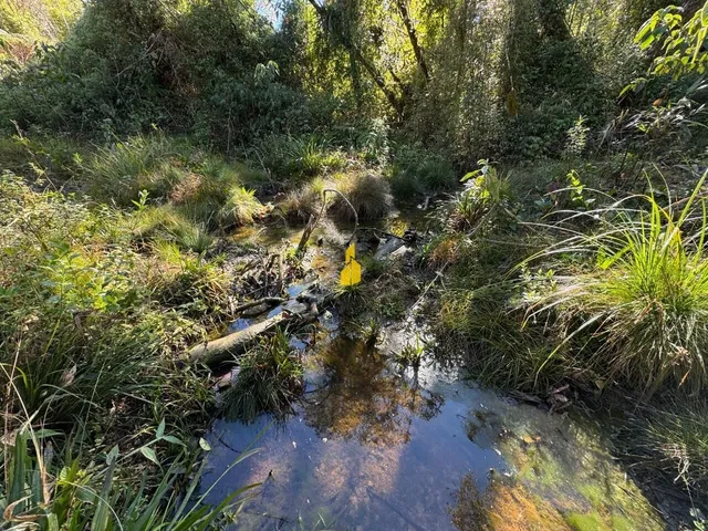 Imagem 16: Terreno À Venda no Bairro Cedro Alto - Rio dos Cedros/Sc