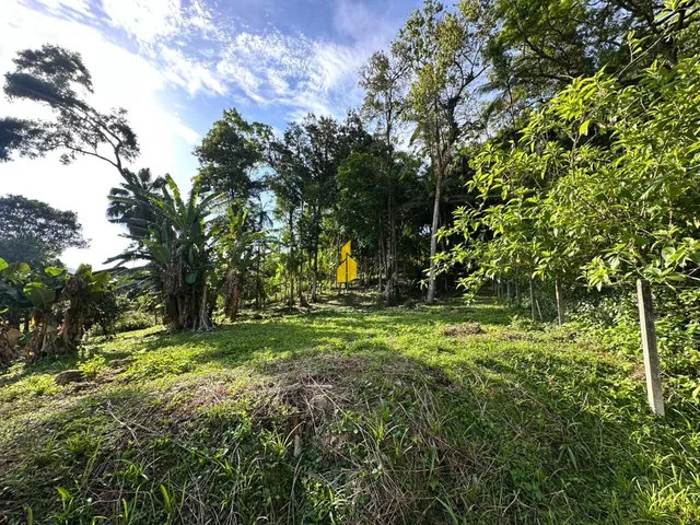 Imagem 5: Terreno À Venda no Bairro Capitais - Timbó/Sc