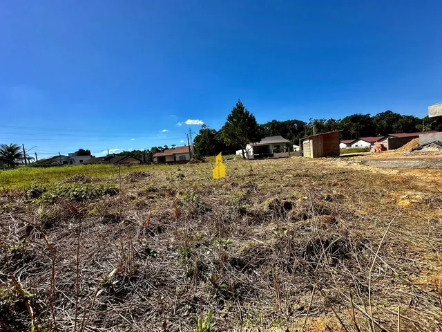Imagem 6: Terreno em Araponguinhas, Timbó/Sc