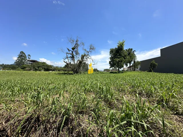 Imagem: Terreno no Bairro das Nações