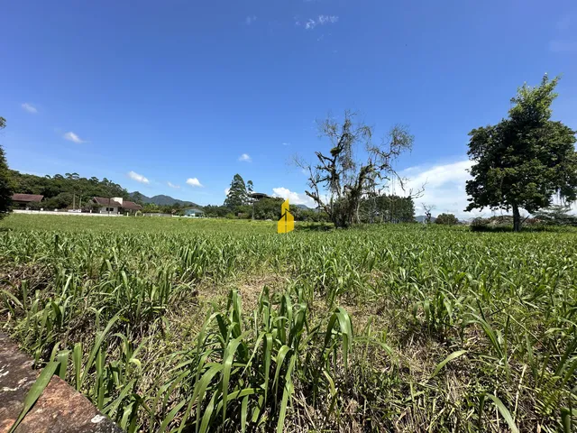 Imagem 2: Terreno no Bairro das Nações