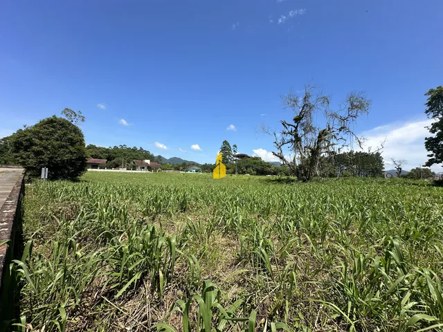 Imagem 3: Terreno no Bairro das Nações