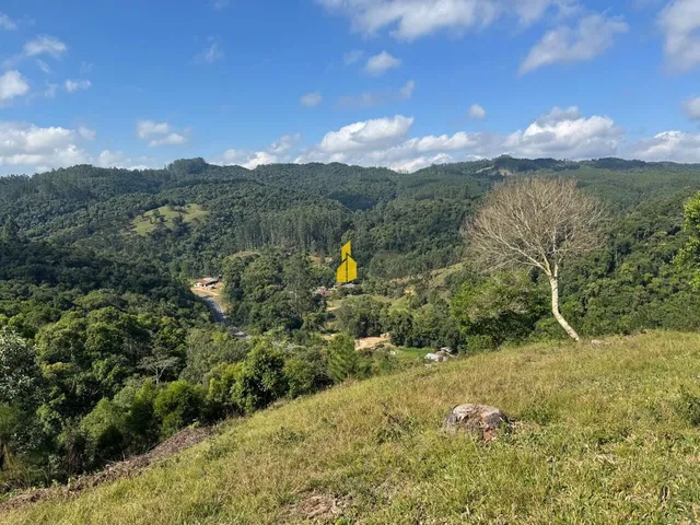 Imagem: Terreno À Venda Doutor Pedrinho