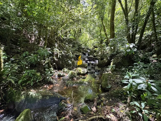 Imagem: Terreno À Venda no Bairro santa Maria