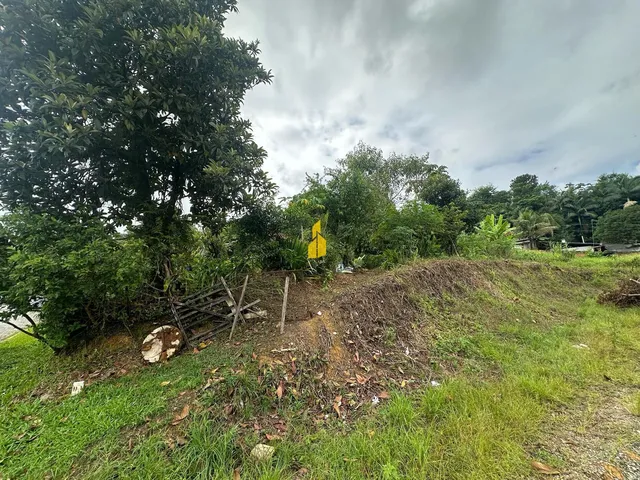 Imagem 4: Excelente Oportunidade de Investimento em Um Terreno Lote com 469