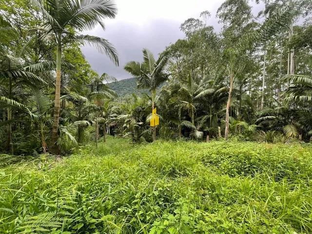 Imagem: Terreno em Rio Cunha em Rio dos Cedros