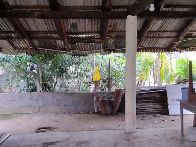 Imagem 6: Casa em Benedito Novo