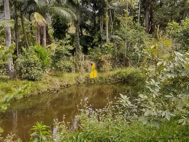 Imagem 7: Casa em Benedito Novo