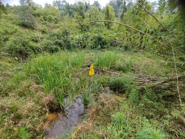 Imagem 11: Terreno em Rodeio 32