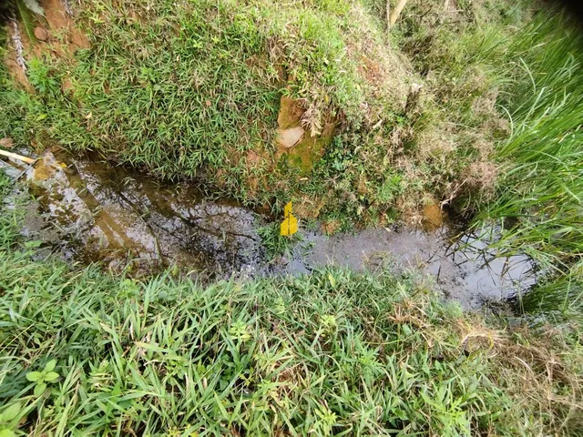 Imagem 13: Terreno em Rodeio 32