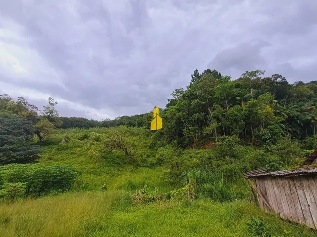 Imagem 4: Sitio com 110.000M²