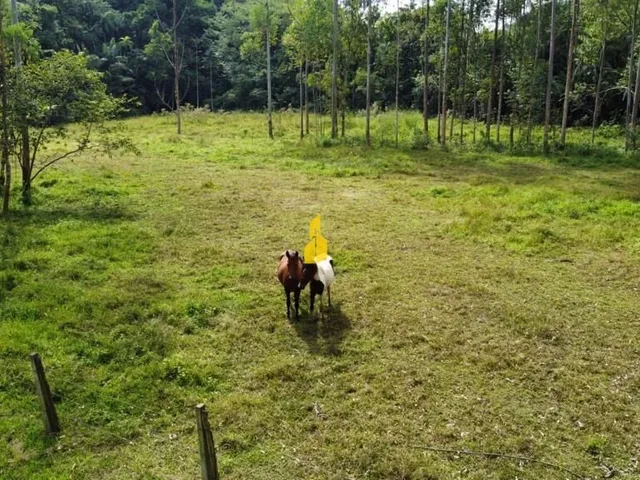 Imagem 9: Terreno À Venda no Bairro Padre Martinho Stein - Timbó/Sc