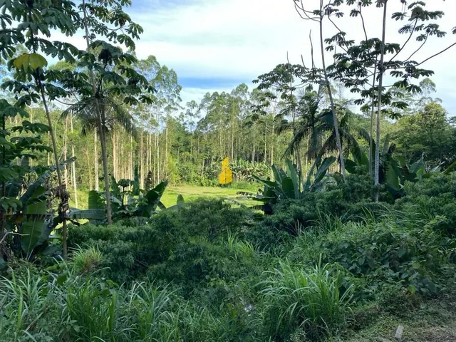 Imagem 3: Terreno À Venda no Bairro Padre Martinho Stein - Timbó/Sc