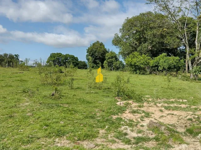 Imagem 6: Terreno Rural em Timbó - Bairro das Nações