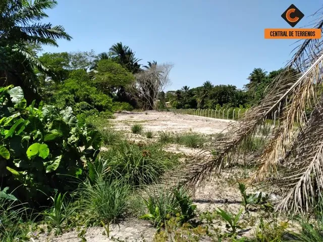 Imagem 6: Terreno em Lauro de Freitas