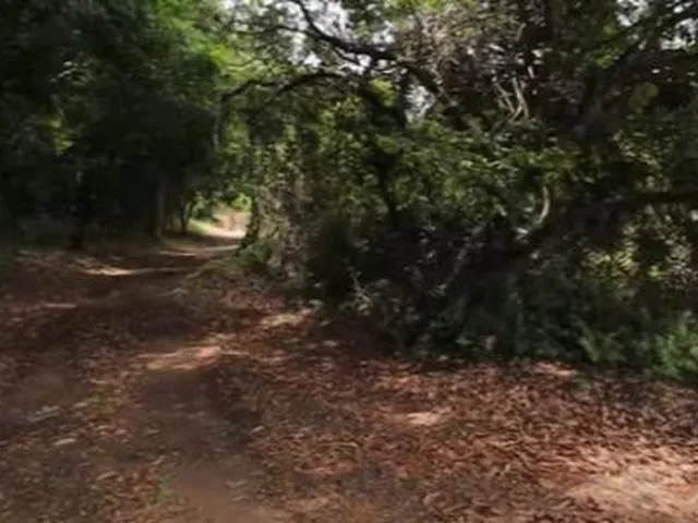 Imagem 2: 0 Fazenda / sítio com 3 dormitórios