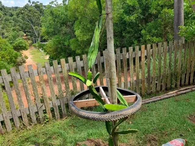 Imagem 9: Casa em Condomínio Fechado com 4 Quartos em Village do Sol