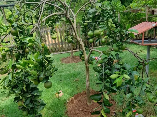 Imagem 3: Casa em Condomínio Fechado com 4 Quartos em Village do Sol
